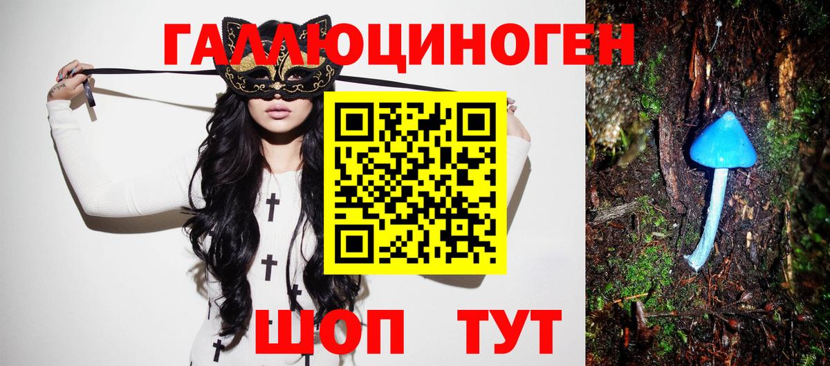 Псилоцибиновые грибы прущие грибы Урюпинск