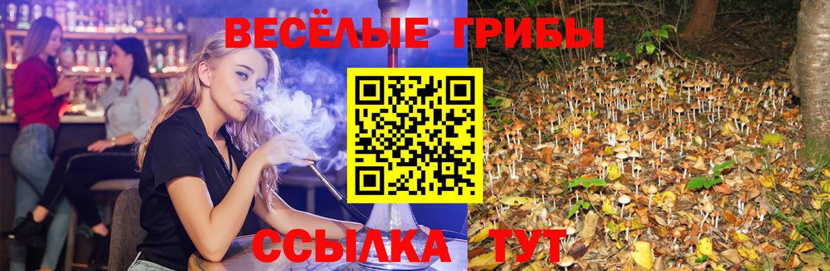 Псилоцибиновые грибы Psilocybe  Галлюциногенные грибы Psilocybine cubensis  Вход с VPN  Урюпинск 