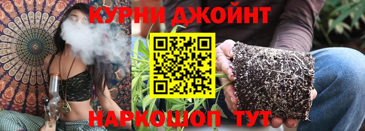Урюпинск  Бошки Шишки тримм  Вход с VPN  МАРИХУАНА THC 21%  Конопля White Widow  Бошки марихуана SATIVA & INDICA 